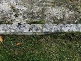 image of grave number 970232
